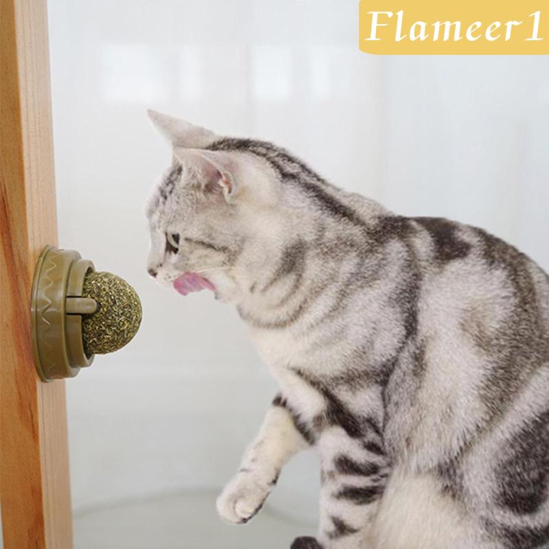 [Flameameer1] Quả Bóng Bạc Hà Tự Nhiên Làm Sạch Răng Nuôi Dưỡng Gắn Tường Cho Mèo