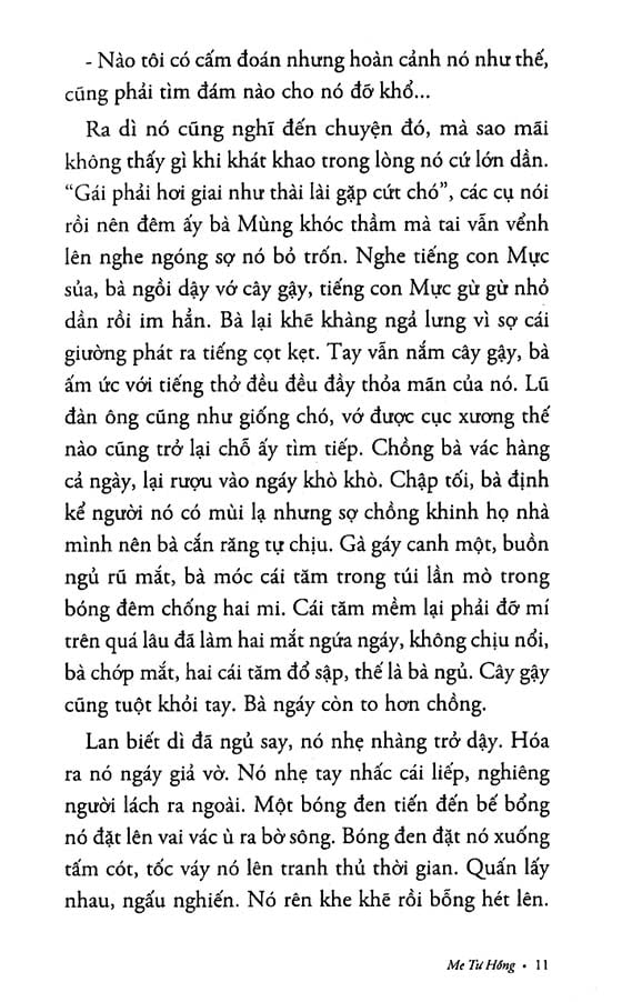 Sách Me Tư Hồng - Tiểu thuyết