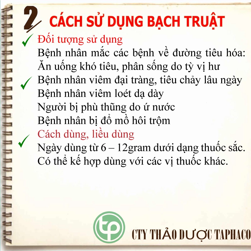 Bạch truật khô - Thảo dược Tấn Phát