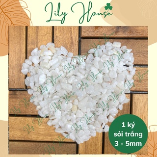 1 ký sỏi trang trí bể cá, đá trang trí chậu cây, hồ thủy sinh – Sỏi trắng – Size 3 - 5mm - Lily House