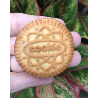 Bánh Tây Kem Socola ( Cao Cấp )