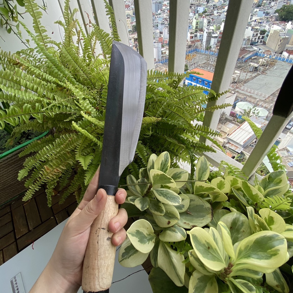 Dao Chặt Béo-Yếm-Thái nhỏ-Pha