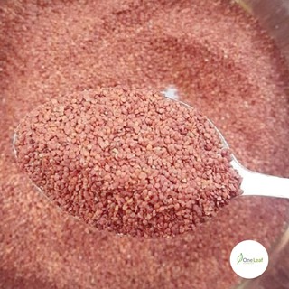1kg Hạt đình lịch (hạt ngũ hoa) - L127