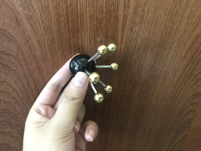 Nhện Đồng nhỏ Diện Chẩn