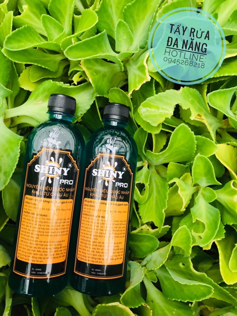 Dung dịch siêu tẩy Shiny Pro