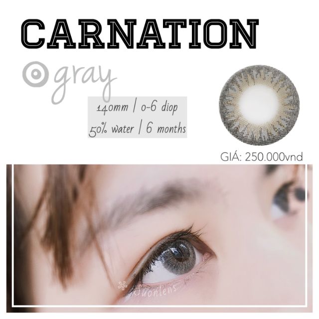 Kính áp tròng 6 tháng CARNATION GRAY áp tròng 14,2mm - Xám tây sáng nhẹ nhàng (K3005)