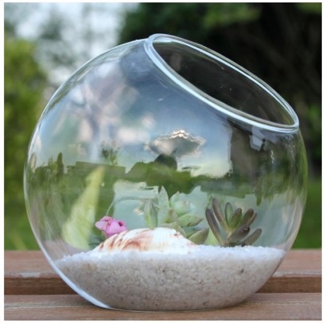 Chậu thủy tinh LKC