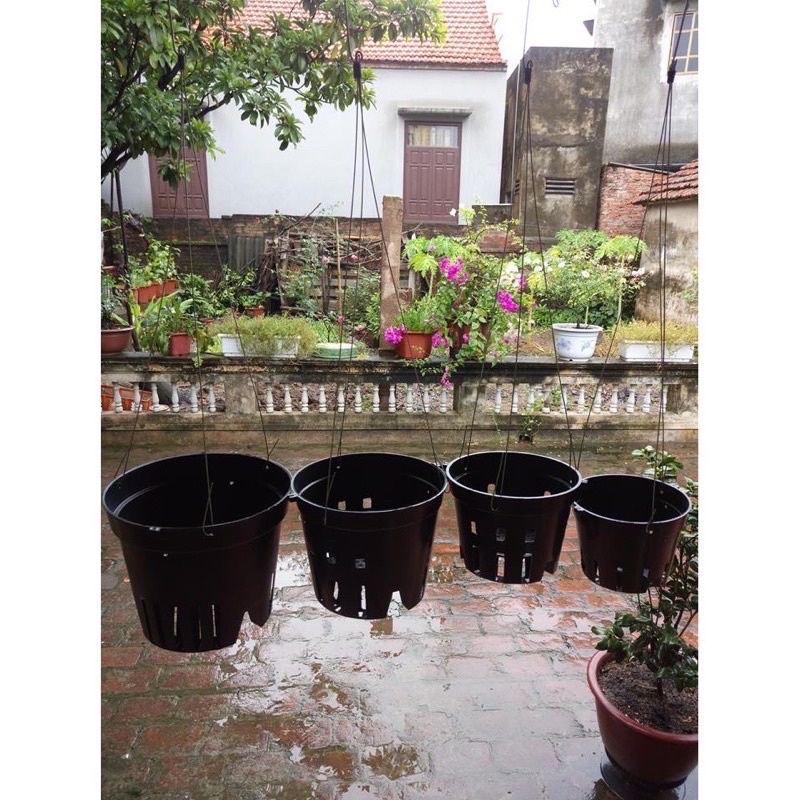 chậu nhựa trồng Lan đen phi 12 đến phi 18