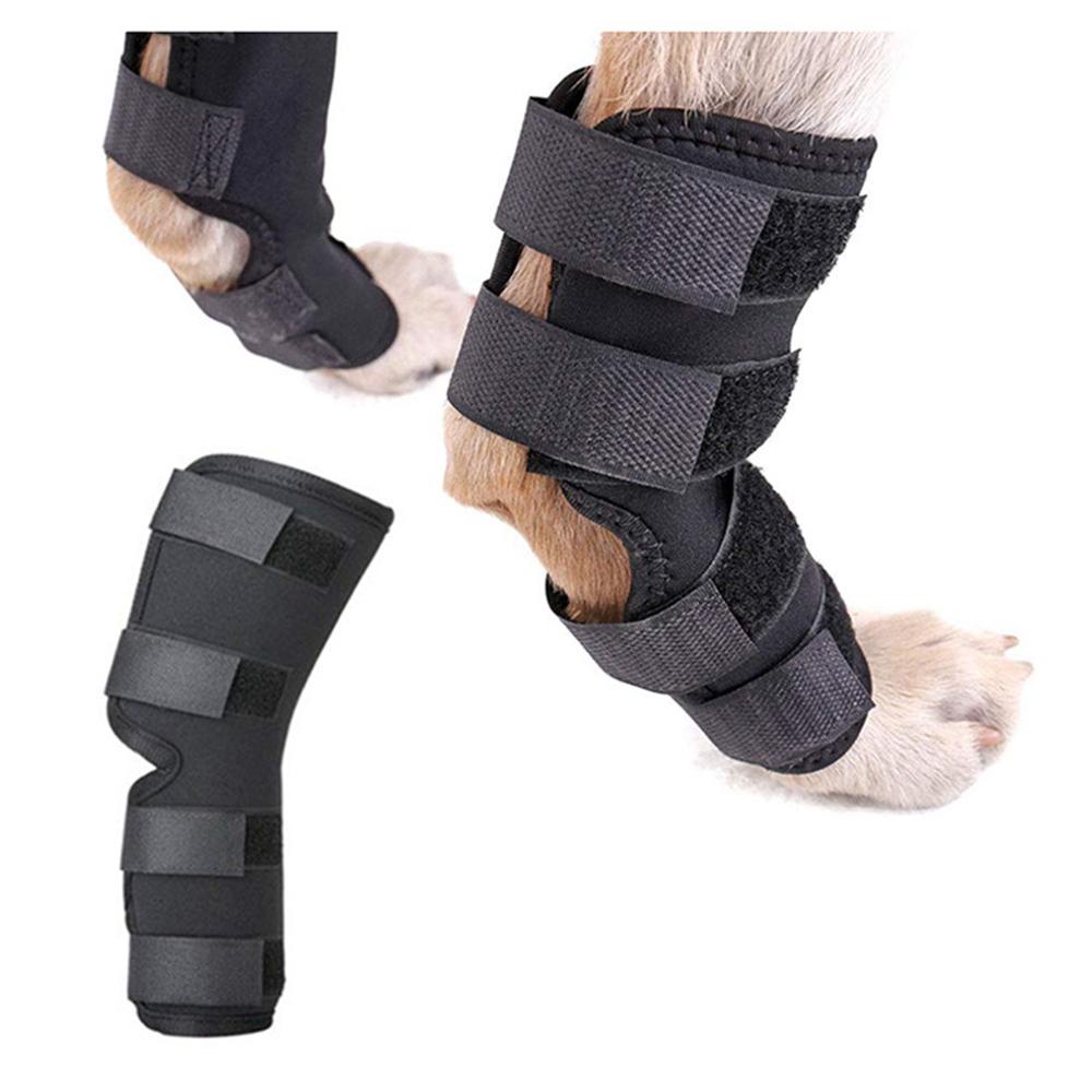 Đai Quấn Bảo Vệ Khớp Cổ Chân Thoáng Khí Bảo Vệ Cho Chó
