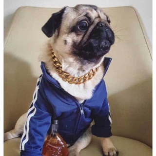 Vòng cổ xích vàng richdog bản to cho chó