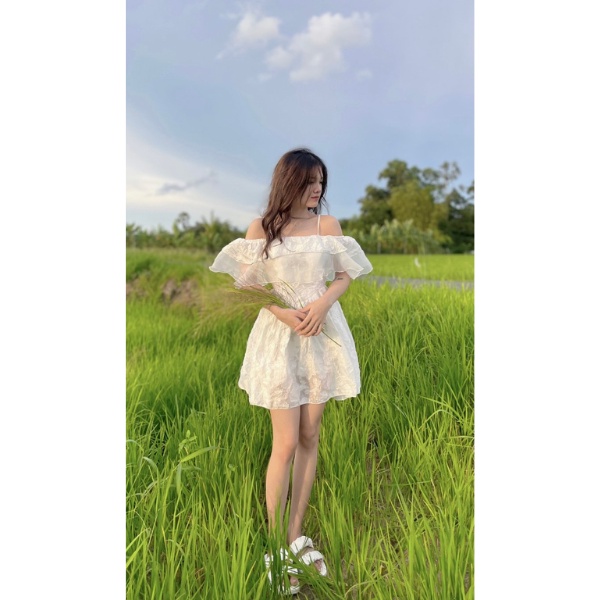Đầm trễ vai bèo tầng cao cấp PLD14