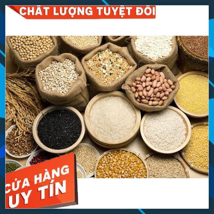 100gr hạt đậu dinh dưỡng nhập khẩu/ăn dặm cho bé