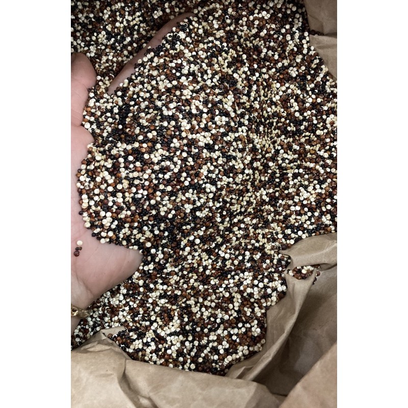 500g Quinoa mix 3 màu hữu cơ (trắng- đỏ- đen)