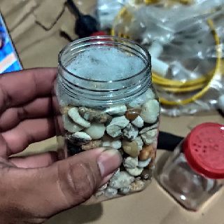 Lọc bio cá guppy 7màu