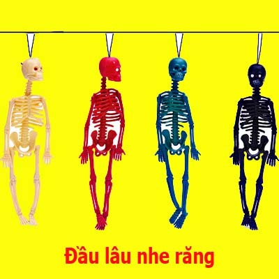 bachtuockicuc11, Cửa hàng trực tuyến | BigBuy360 - bigbuy360.vn