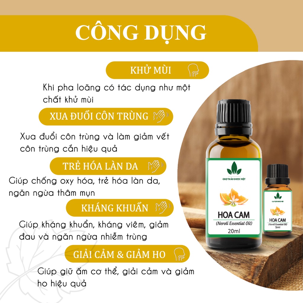 Tinh dầu Hoa Cam 20ml, chống lão hóa, trẻ hóa làn da, hương thơm tự nhiên, thơm phòng, thư giãn - Chợ Thảo Dược Việt