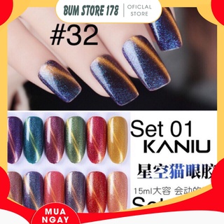 Sơn Gel Kaniu bền màu cực kì mướt 12ML (Dành cho tiệm nail chuyên nghiệp) XK
