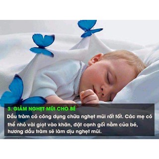 TINH DẦU TRÀM 50ml
