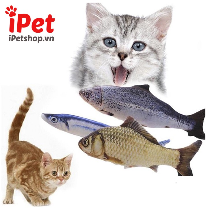 Cá Nhồi Catnip Cho Mèo Vui Vẻ - iPet Shop