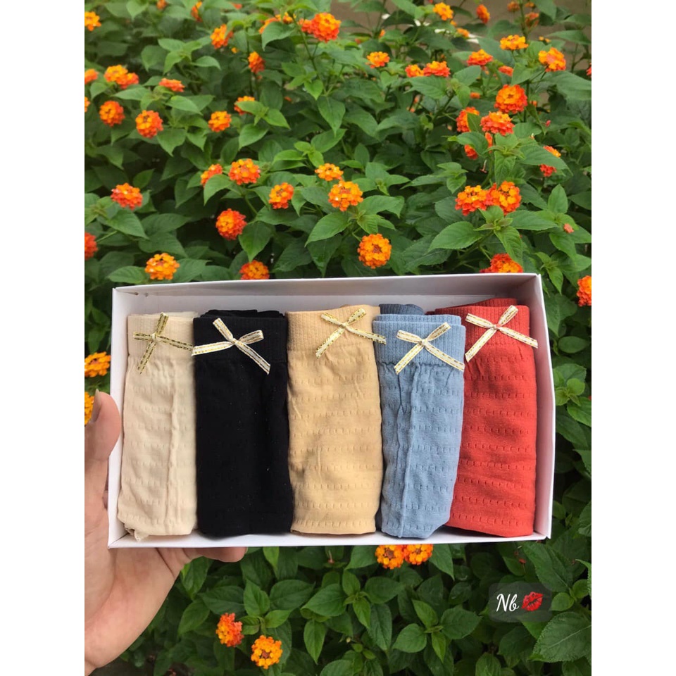 [Hộp 5 chiếc] Quần lót MUJI nữ, quần chip cotton kẻ tăm xuất Nhật