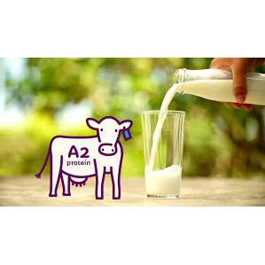 Sữa tươi A2 dạng bột nguyên kem bịch 1kg của Úc