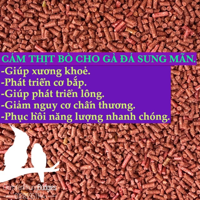 1KG CÁM BÒ cho GÀ ĐÁ giúp gà sung mãn, tăng sức bền_THỨC ĂN GÀ CAO CẤP.