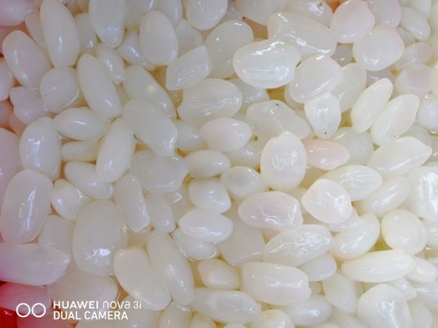 1kg hạt đác size cực to | BigBuy360 - bigbuy360.vn