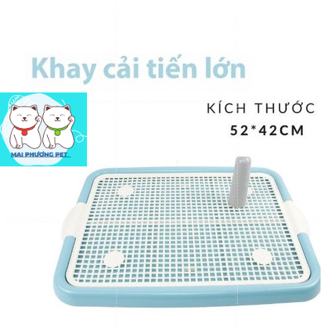 Khay vệ sinh cho chó khay cải tiến lớn