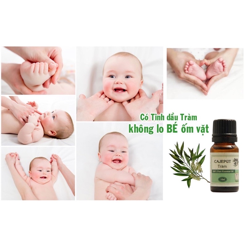 TINH DẦU TRÀM HUẾ NGUYÊN CHẤT 100ml