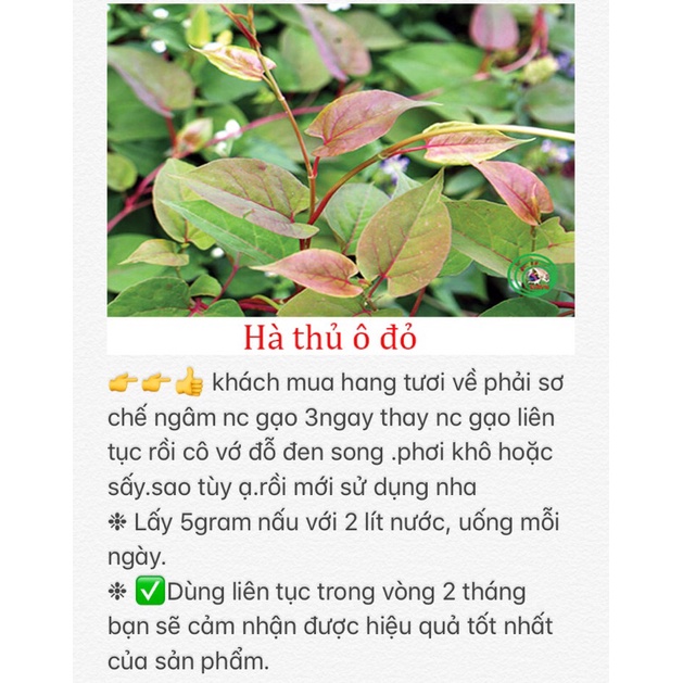 Hà Thủ Ô Đỏ Khô Đã Sơ Chế  - Giúp Đe.n Tóc Đẹp Da - ĐSR