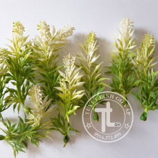 5 bịch hoa cỏ nhí trang trí  100k
