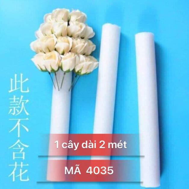 Xốp Trắng Cây 2 Mét