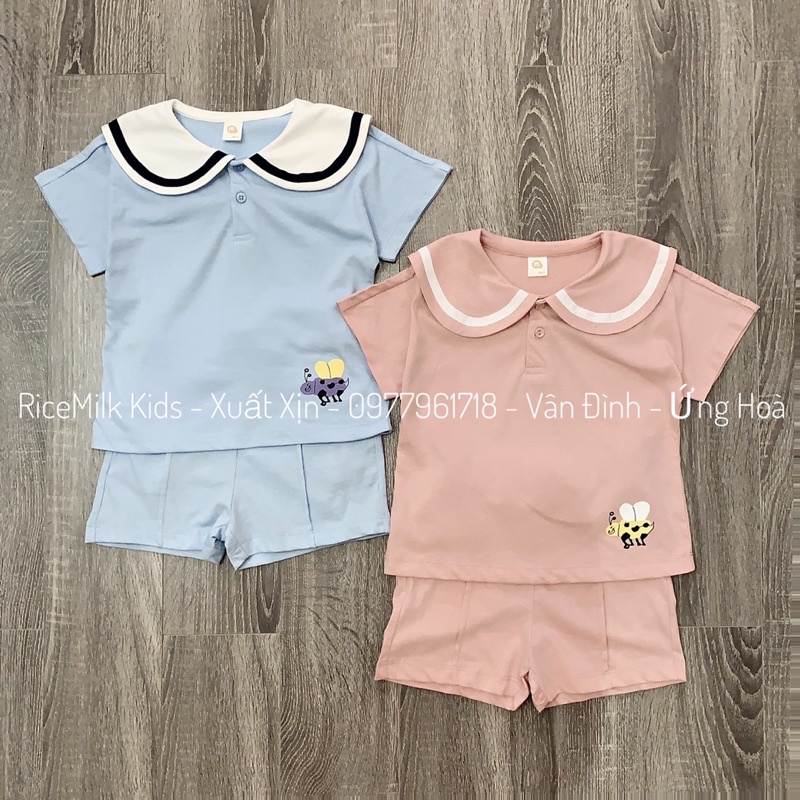 Bộ hè cotton cho bé trai bé gái cổ thuỷ thủ xuất Hàn