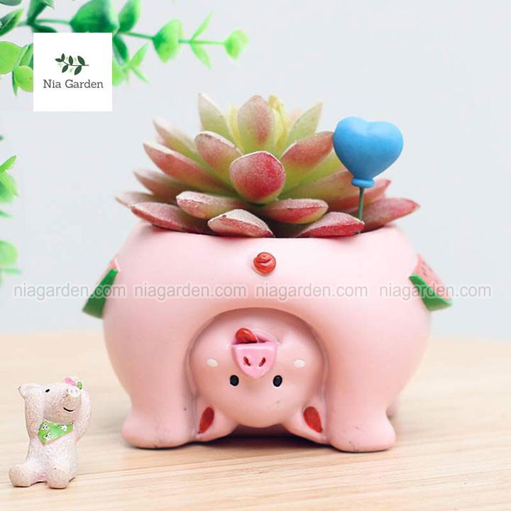 Chậu thú nhựa lộn ngược trồng sen đá xương rồng mini gấu heo chó Nia Garden N4