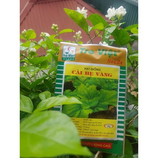 Hạt giống cải bẹ vàng Tre Việt Seed gói 50 gram