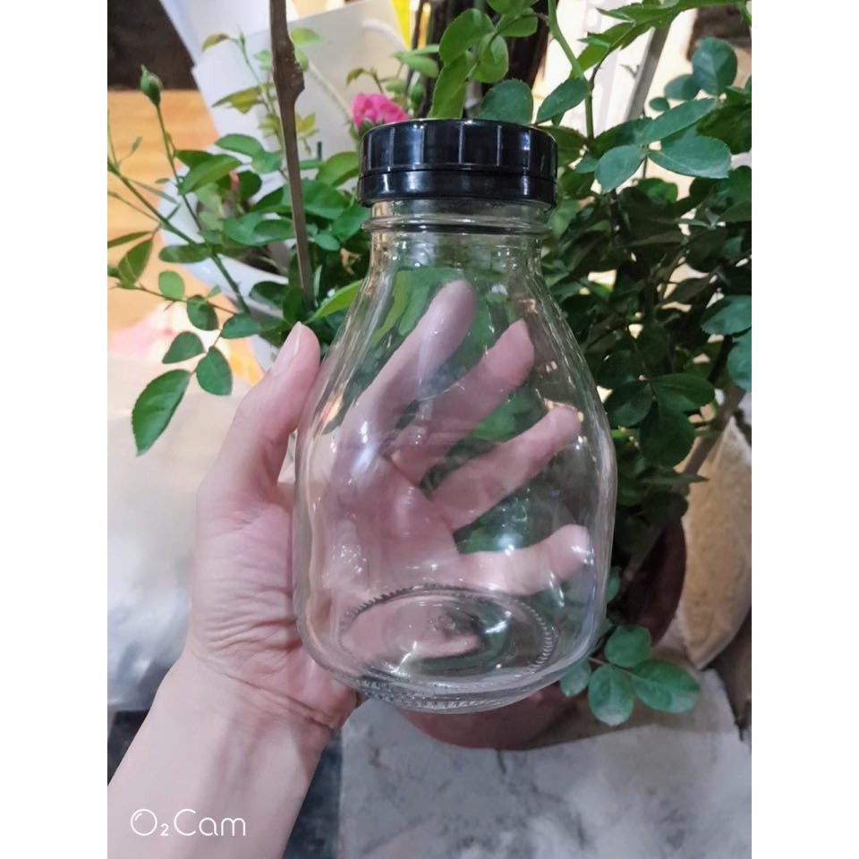 chai thủy tinh vuông lùn nắp nhựa 500ml(chai trơn không in hình) | BigBuy360 - bigbuy360.vn