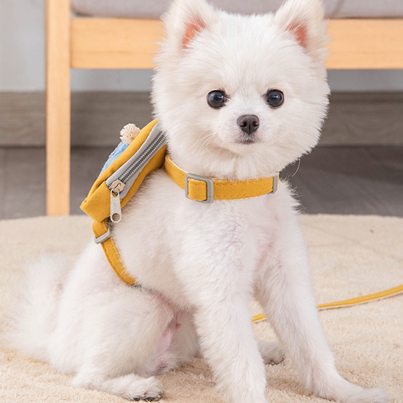 Dây Dắt Thú Cưng Đi Dạo 27Pets} Kèm Dây Đai Ngực Mềm Mại Họa Tiết Ngôi Sao