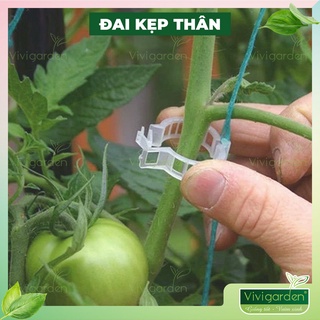 Combo 10 ĐAI KẸP THÂN DÂY DƯA nhựa trắng loại tốt giúp cố định, định hướng cây cây mọc theo dây treo có thể tái sử dụng