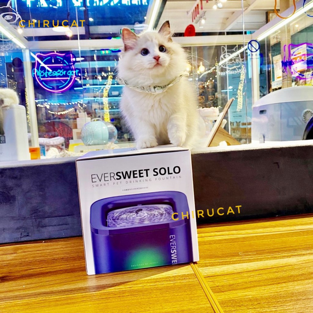 Trọn bộ các dòng máy lọc nước PETKIT EVERSWEET 2,3,SOLO