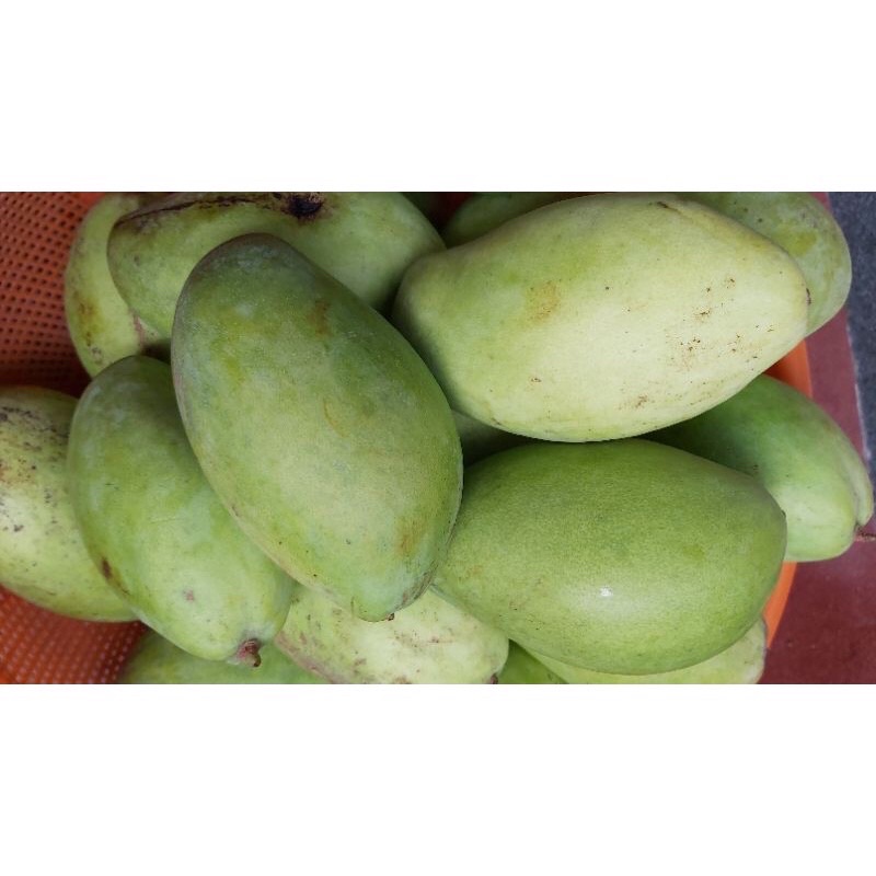 Xoài Keo Vàng - Xanh/2kg