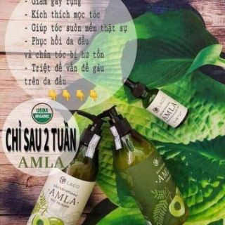 Bộ dầu gội ngăn rụng tóc Amla