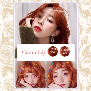 Thuốc nhuộm tóc Cam cháy colorking