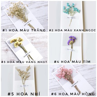 [1Pcs] Thiệp Hoa Khô Trang Trí Handmade Siêu Dễ Thương Cute Decorative Dried Flower Greeting Card