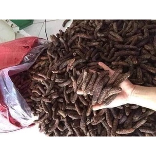 Chuối hột ngâm rượu