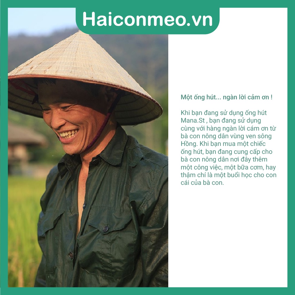(Haiconmeo) Ống hút cỏ sậy Mana.st
