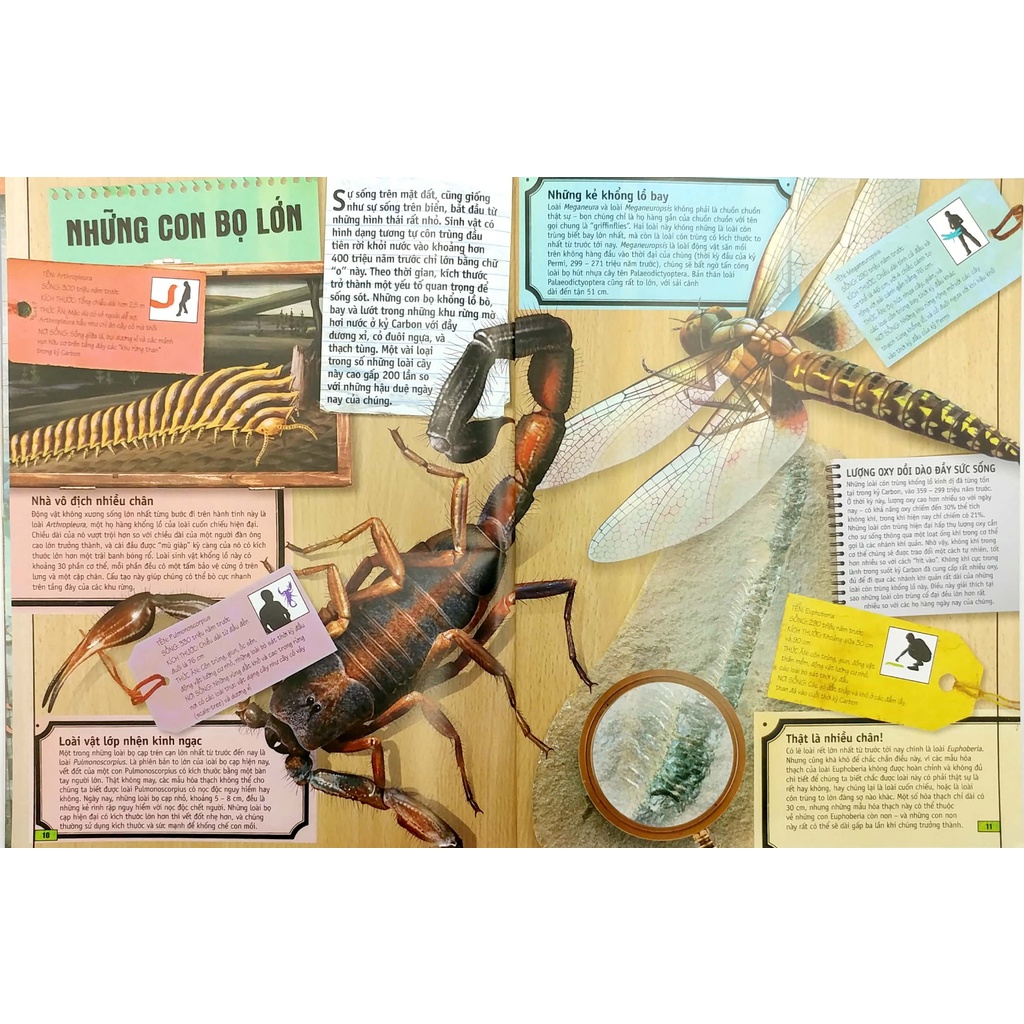 Sách - Quyển Sách Kỳ Thú Về Động Vật (Phương Nam)