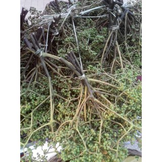 Mắc khén tây Bắc (hạt tiêu rừng) 100g