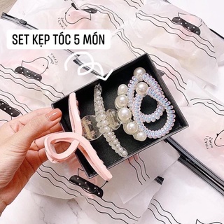 Kẹp Tóc[Bộ 5sp] Ngọc Trai Siêu Sang Chảnh - Ngọc Trai Nhân Tạo Khảm Ánh Xà Cừ