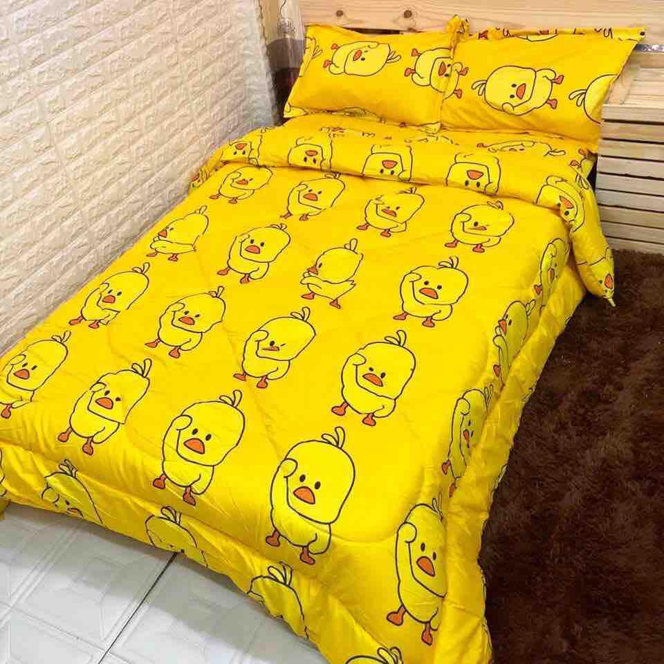 Set 5 Món Chăn Phao Drap Gối ( Chăn Phao Siêu Nhẹ) Gồm 1 Chăn Phao 2 áo gối 1 áo gối ôm 1 Drap Bọc Đủ Kích Thước album01