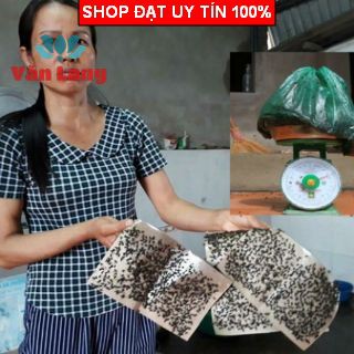 10 Keo Dính Ruồi, bẫy ruồi siêu dính - Loại 1